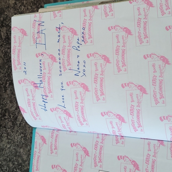 The Berenstain Bears and the Spooky Old Tree Book - Picture 3 of 8